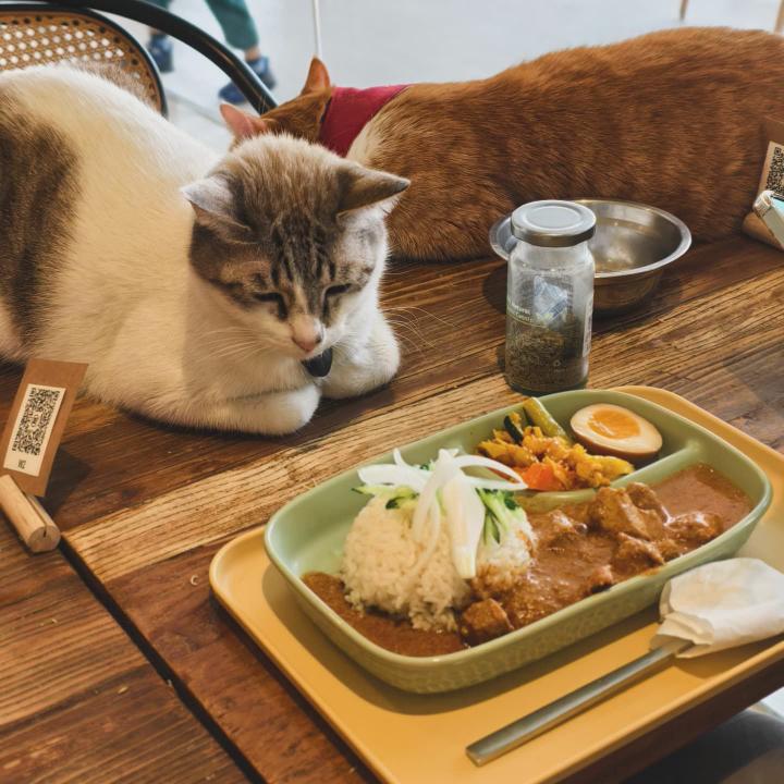 正當冰貓咪簡餐咖啡台中店 長期工讀生